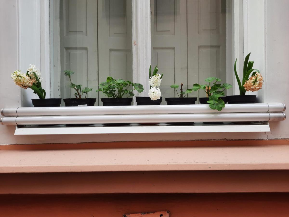 Downtown Prague Minimalistic Room In Flatshare 外观 照片